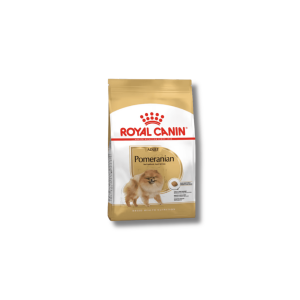 רויאל קנין - פומרניין בוגר | 3 ק"ג